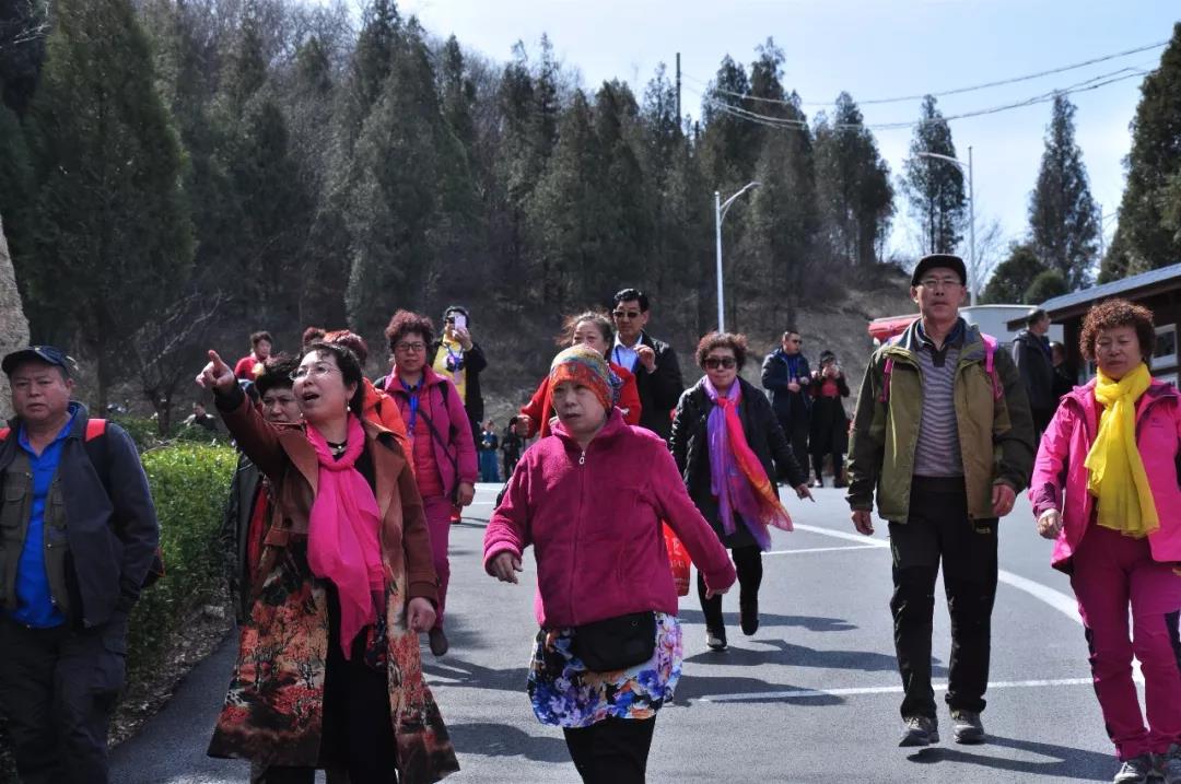 最近，河南这个5A景区被东北人挤爆了！