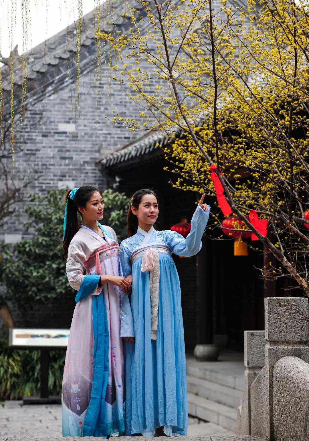 春暖花开，踏青赏花，台儿庄古城迎来初春旅行小高峰