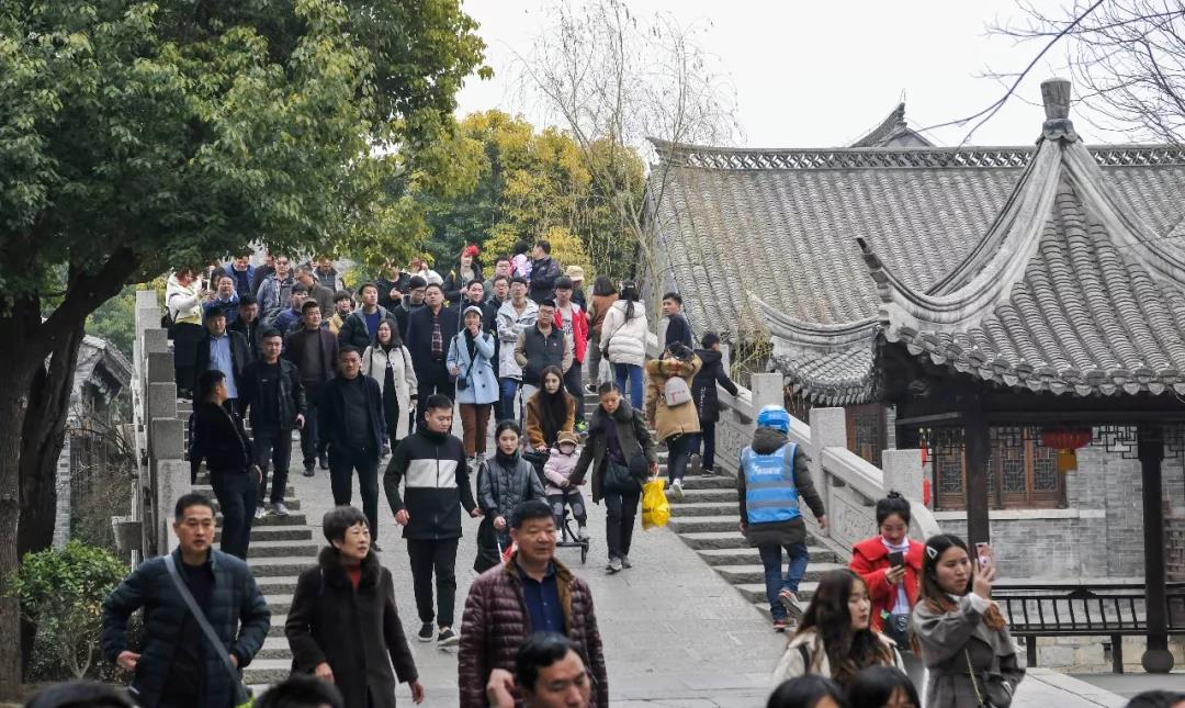 春暖花开，踏青赏花，台儿庄古城迎来初春旅行小高峰