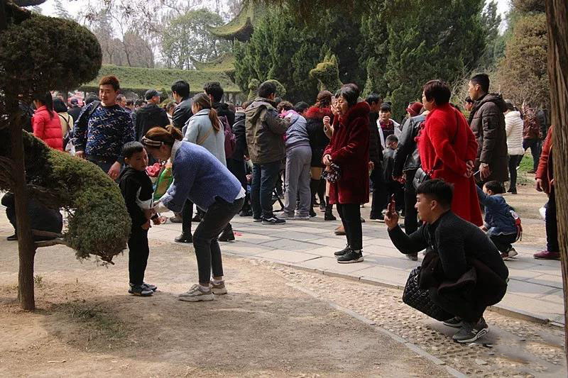 为何淮阳太昊陵古庙会这处景点最容易造