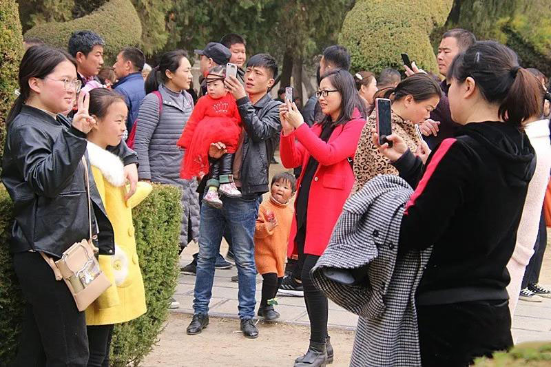 为何淮阳太昊陵古庙会这处景点最容易造
