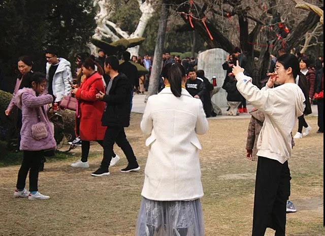为何淮阳太昊陵古庙会这处景点最容易造