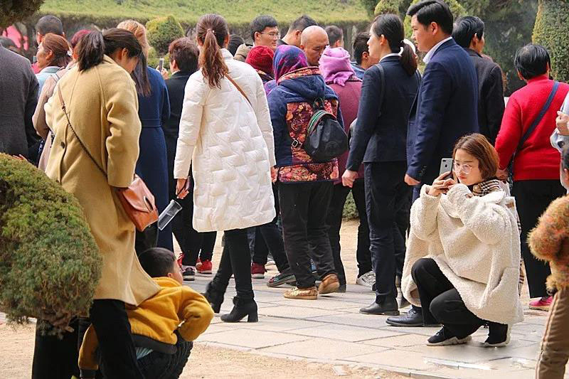 为何淮阳太昊陵古庙会这处景点最容易造