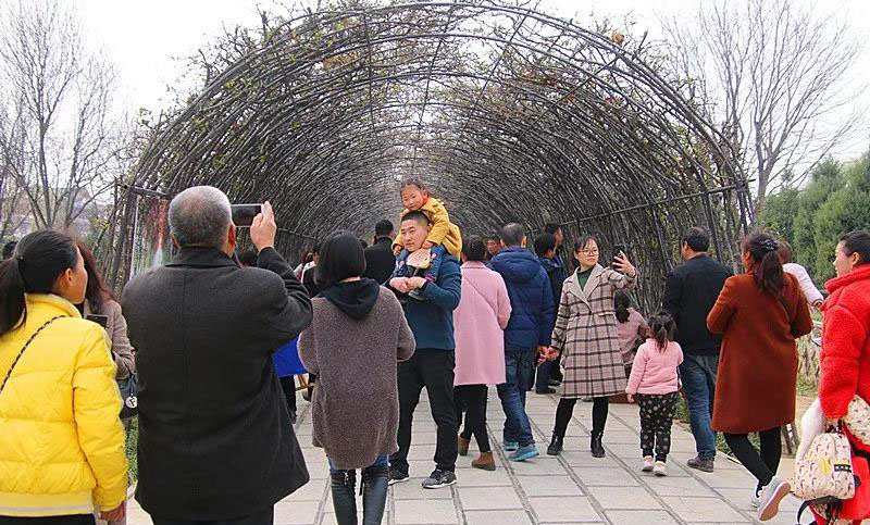 为何淮阳太昊陵古庙会这处景点最容易造