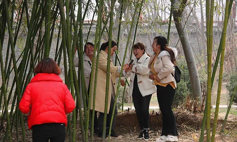 为何淮阳太昊陵古庙会这处景点最容易造