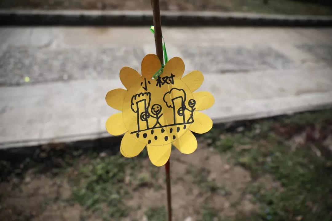 鸡公山踏春赏花季 | 这里开展亲子植树更有意趣！