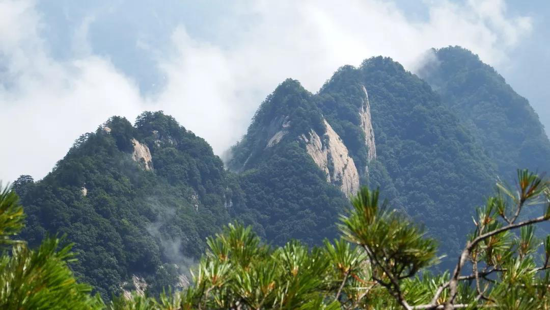 有才你就来！洛阳白云山旅游度假区创意LOGO火热征集中...