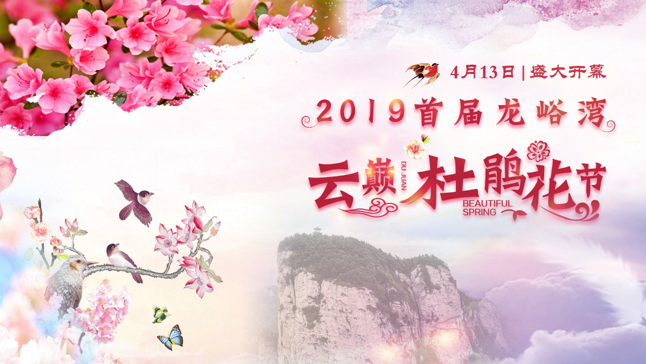 2019首届龙峪湾云巅杜鹃花节即将启幕