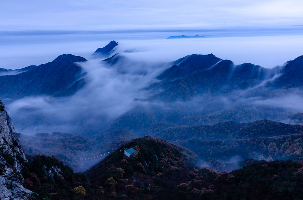 2019首届龙峪湾云巅杜鹃花节即将启幕