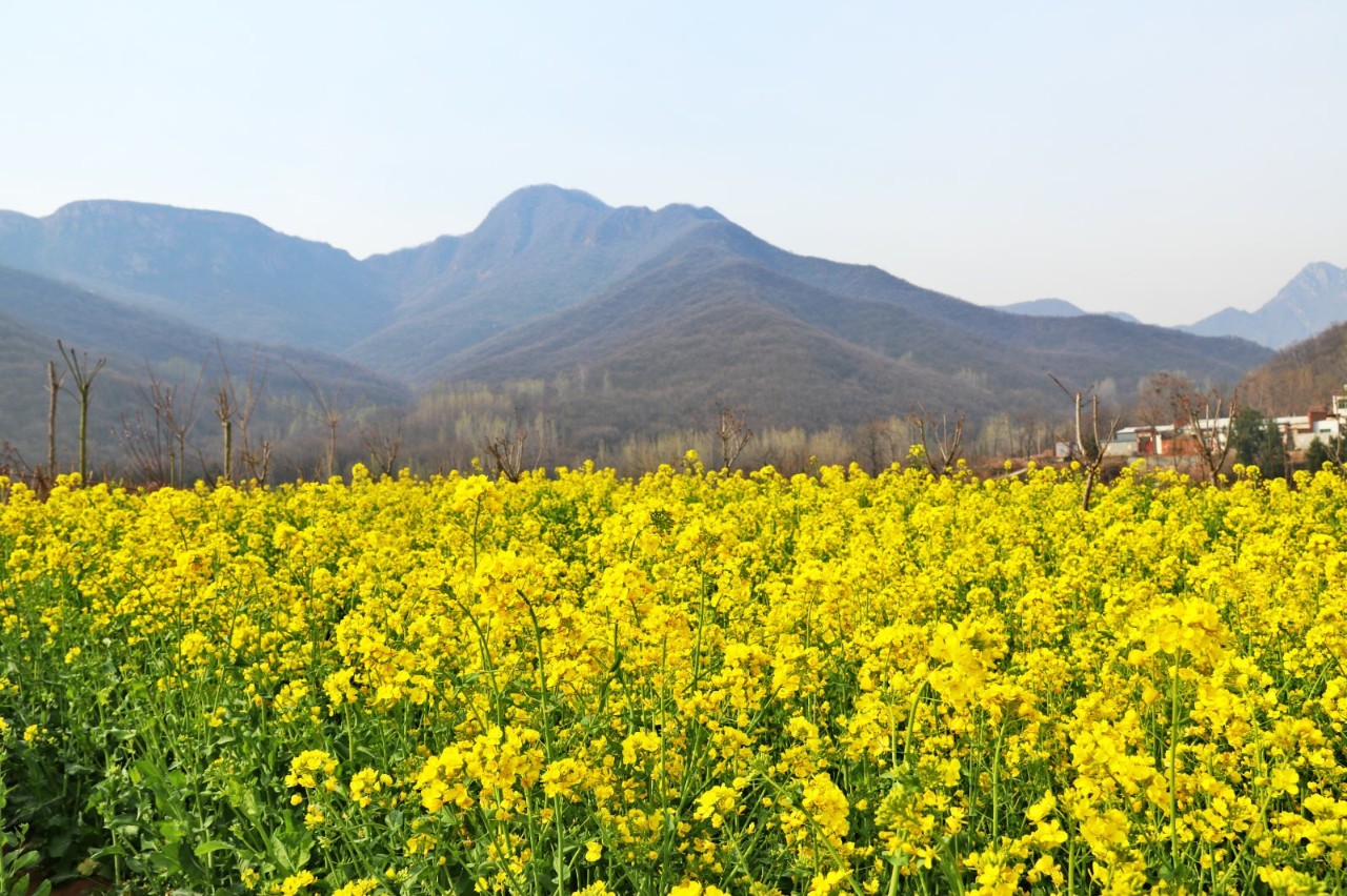 第二届大熊山踏青季开幕式圆满举行