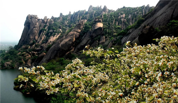 阳春三月，春暖花开，登嵖岈奇峰，赏千亩花海！