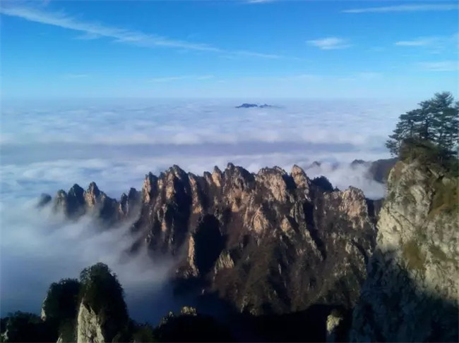 龙峪湾云巅杜鹃花海，与你的TA来个浪漫之约