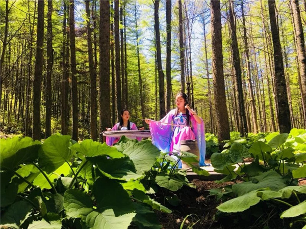 牡丹文化节期间，持洛阳市内10家景区门票到洛阳白云山，可享受半价门票优惠