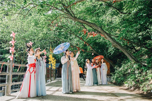 “仙境花海 逐梦圣山”老君山仙山花海节明日启幕！