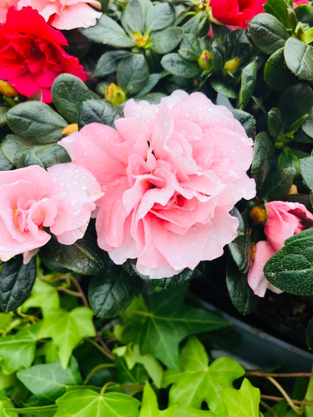 网红打卡龙峪湾 “宝藏艺术家”边姐本周六惊喜现身 网红打卡龙峪湾 “宝藏艺术家”边姐本周六惊喜现身