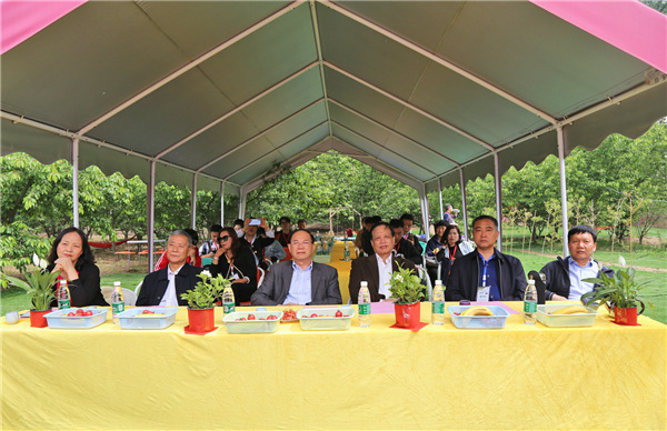 人间有爱，“樱”为有你——2019河南富硒樱桃节暨美农富硒樱桃园玩转樱