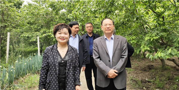人间有爱，“樱”为有你——2019河南富硒樱桃节暨美农富硒樱桃园玩转樱