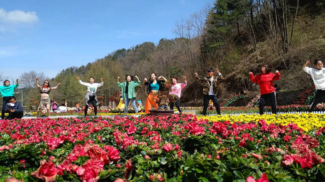 龙峪湾：2019年首届云巅杜鹃花节圆满落幕