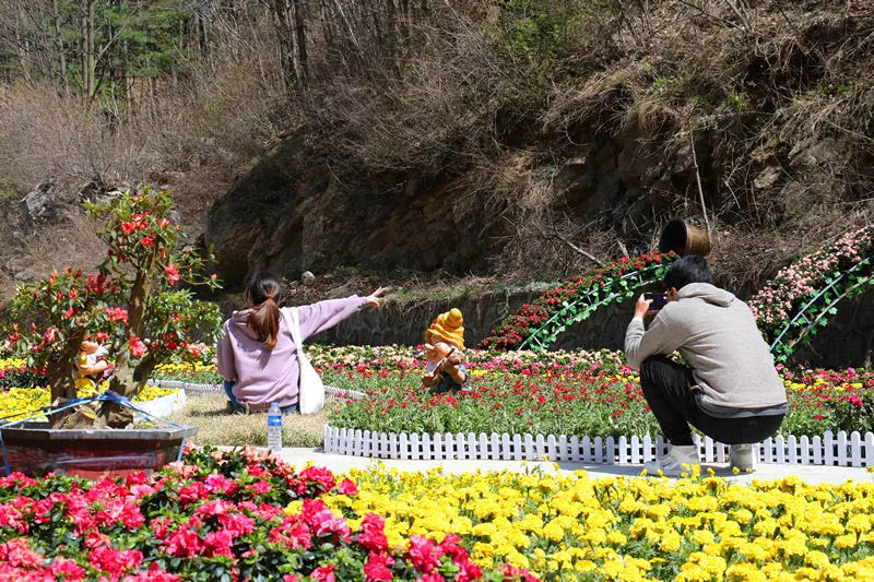 龙峪湾：2019年首届云巅杜鹃花节圆满落幕