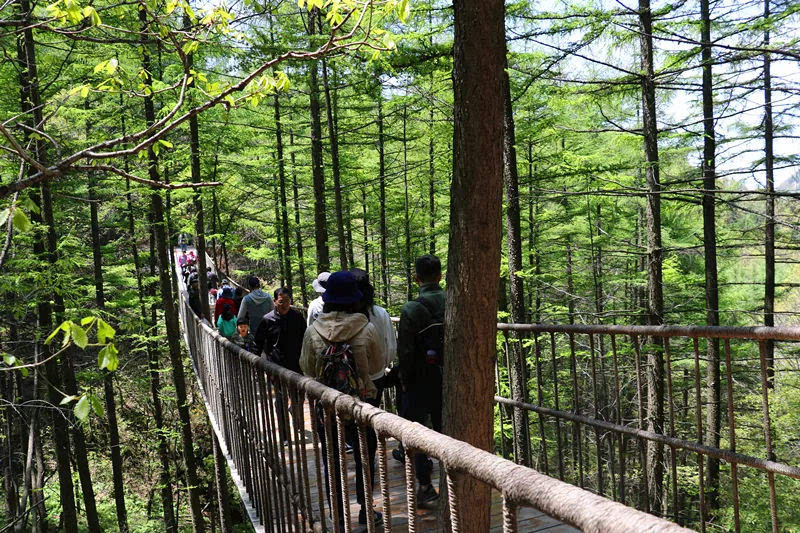 龙峪湾：2019年首届云巅杜鹃花节圆满落幕