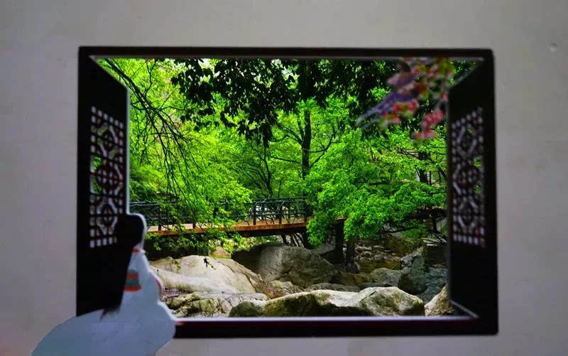 龙峪湾：2019年首届云巅杜鹃花节圆满落幕