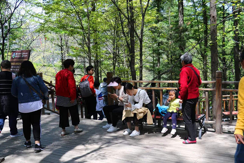 龙峪湾：2019年首届云巅杜鹃花节圆满落幕
