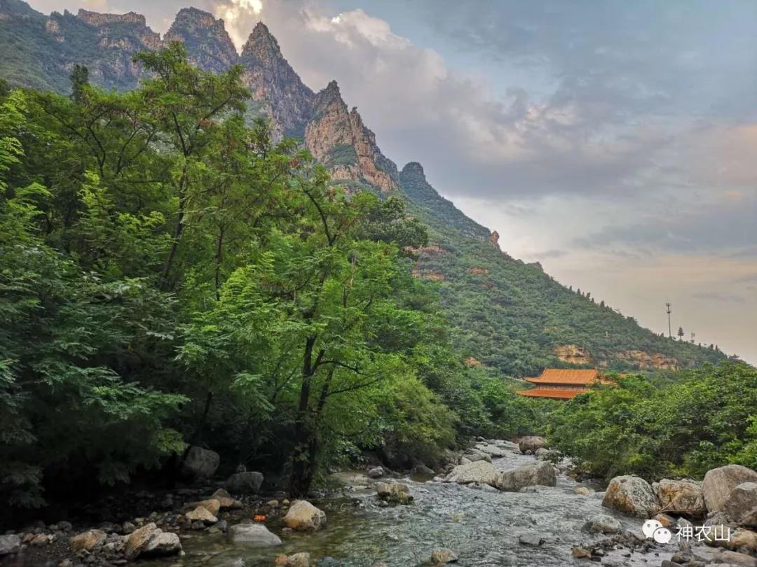 5.19中国旅游日，神农山免门票啦！！！