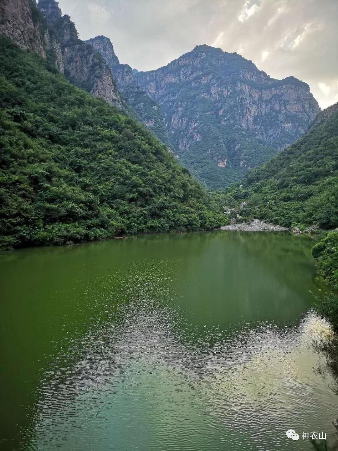 5.19中国旅游日，神农山免门票啦！！！