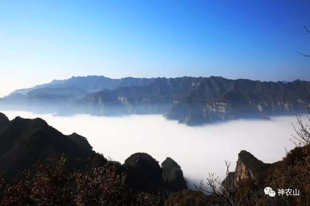 5.19中国旅游日，神农山免门票啦！！！
