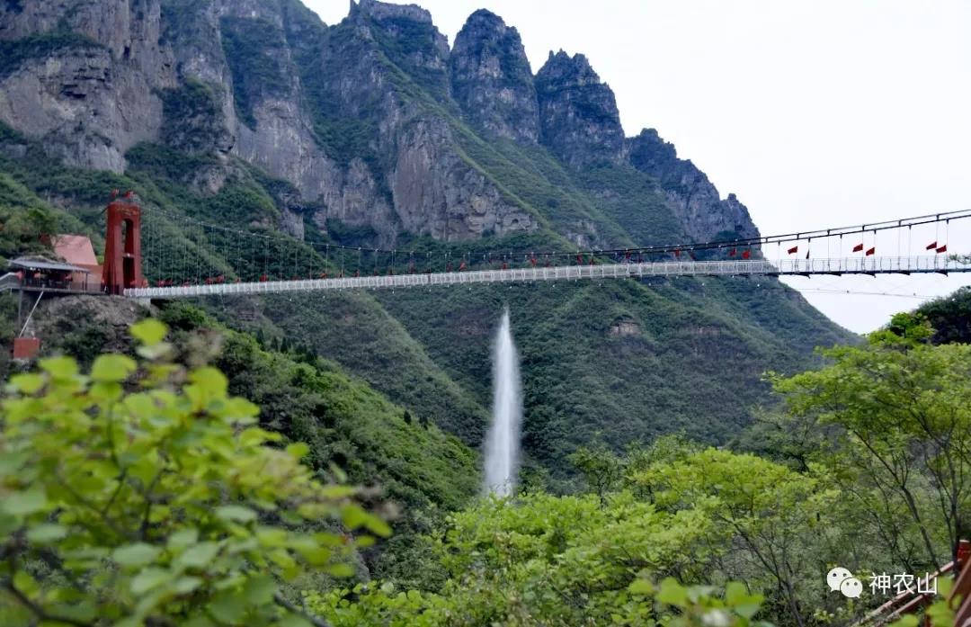 5.19中国旅游日，神农山免门票啦！！！
