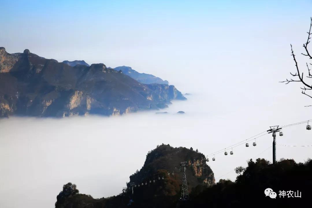 5.19中国旅游日，神农山免门票啦！！！