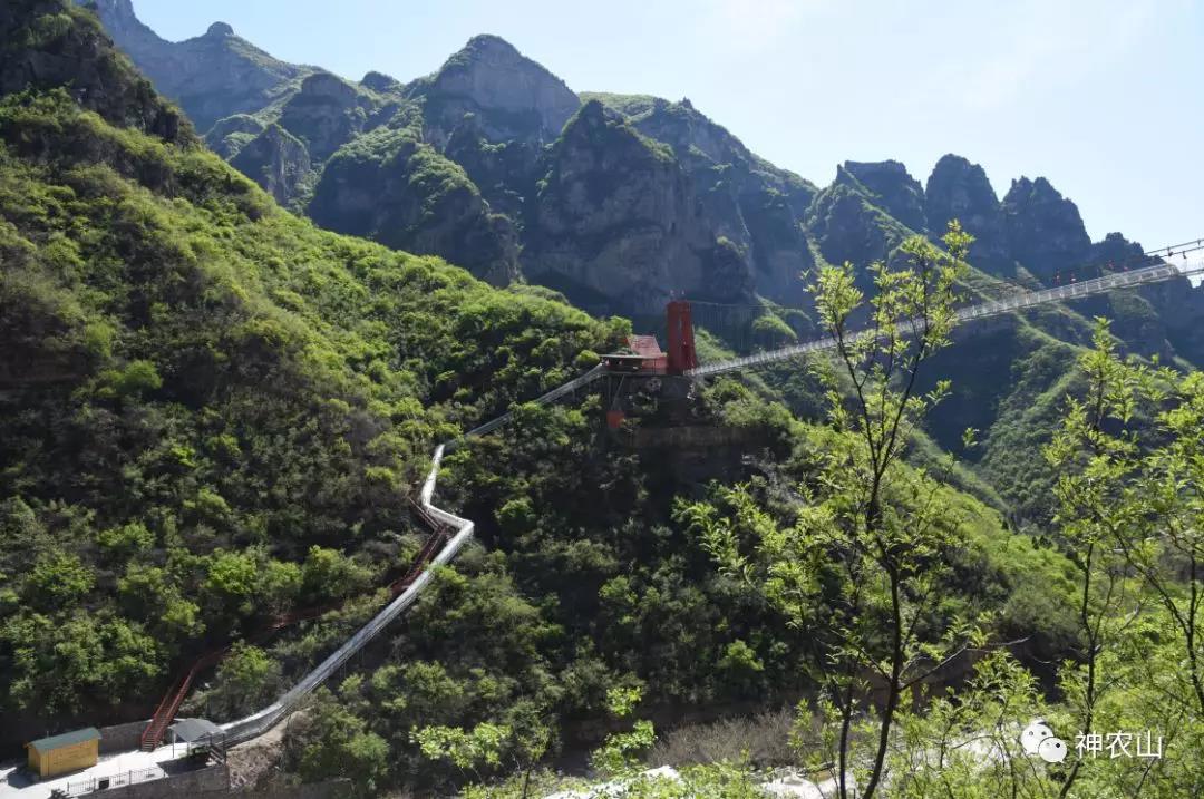5.19中国旅游日，神农山免门票啦！！！