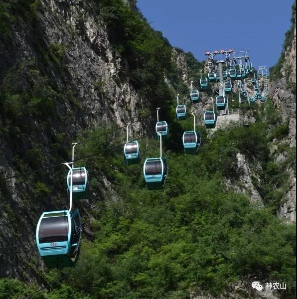 5.19中国旅游日，神农山免门票啦！！！