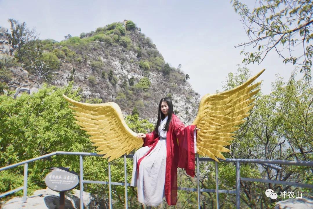 5.19中国旅游日，神农山免门票啦！！！