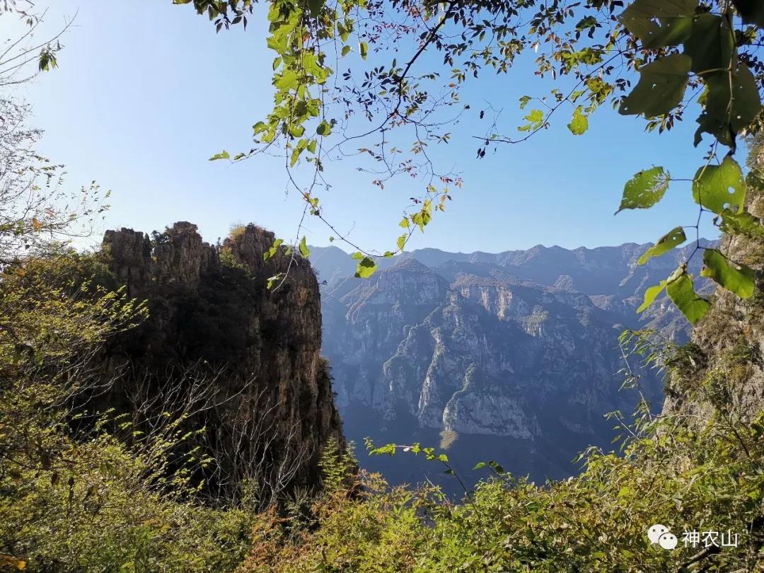 5.19中国旅游日，神农山免门票啦！！！