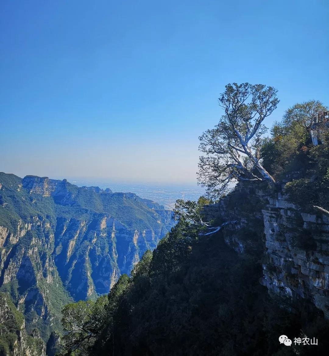 5.19中国旅游日，神农山免门票啦！！！