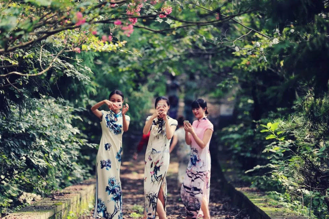 邂逅浅夏茵茵鸡公山“中国旅游日”门票半价不限量