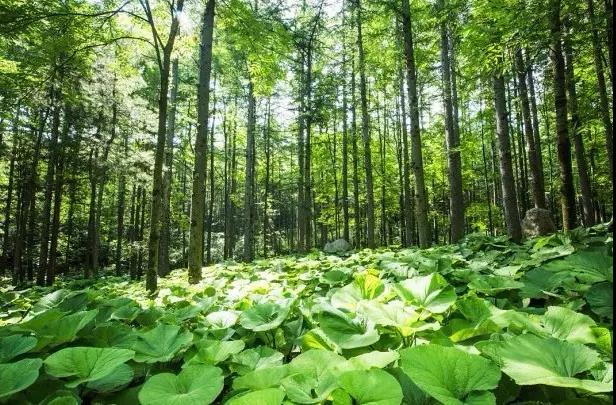 夏日跟我一起揽胜白云山