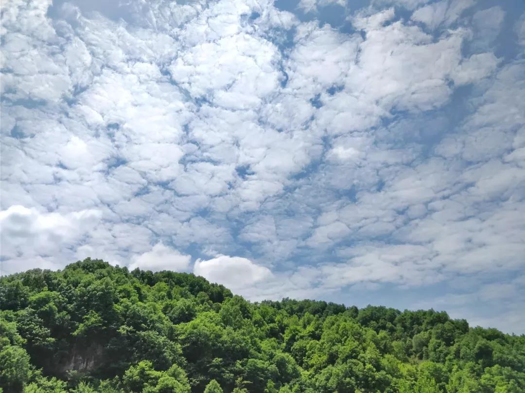 白云山：山中何所有，岭上多白云