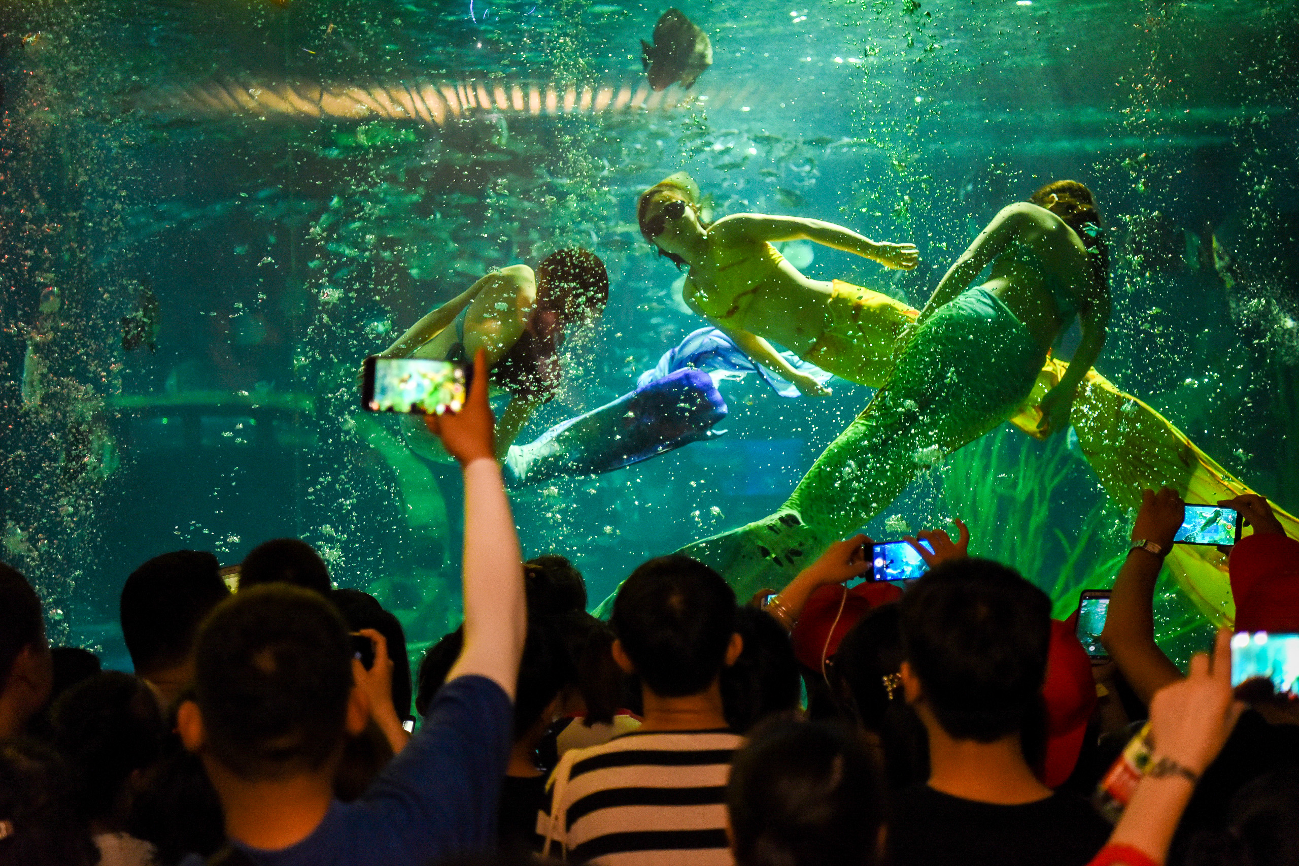 探索科技奥妙遨游海洋世界  25名留守儿童开启6.1希望之旅