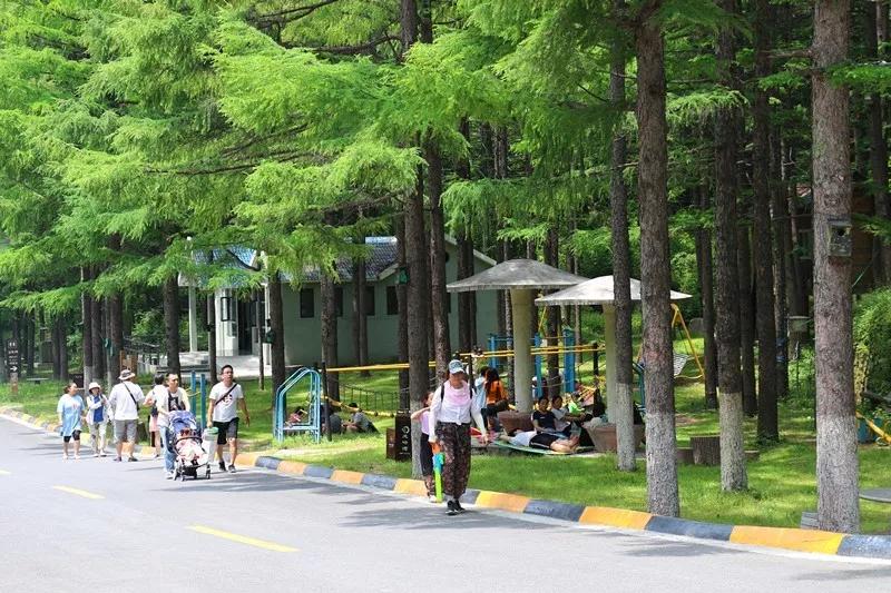 避暑圣地龙峪湾 放“粽”一夏 清凉过端午