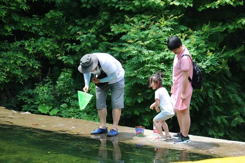 避暑圣地龙峪湾 放“粽”一夏 清凉过端午