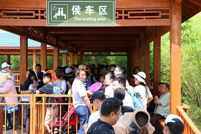 避暑圣地龙峪湾 放“粽”一夏 清凉过端午