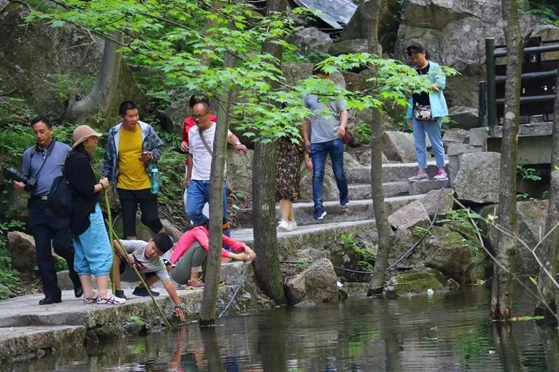 避暑圣地龙峪湾 放“粽”一夏 清凉过端午
