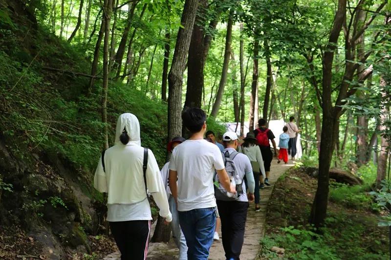 避暑圣地龙峪湾 放“粽”一夏 清凉过端午