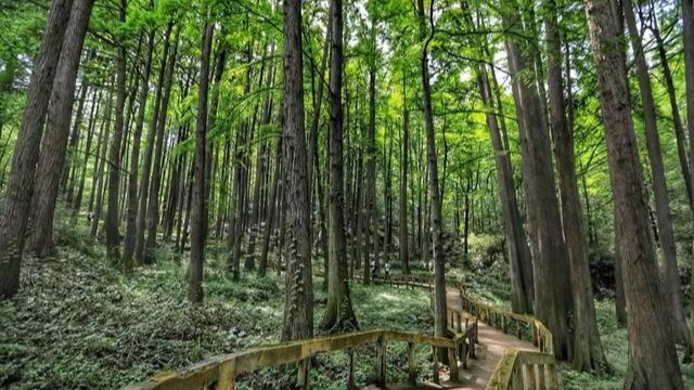 鸡公山——毕业之季我们来相约