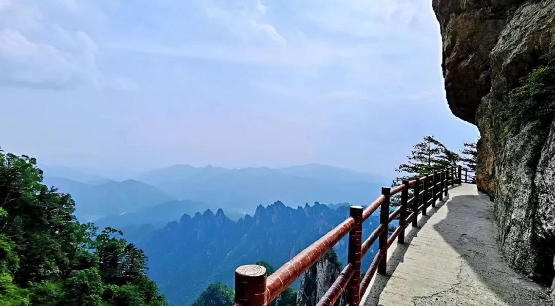 炫父不炫富父亲节“爸”气出游 龙峪湾森林旅游