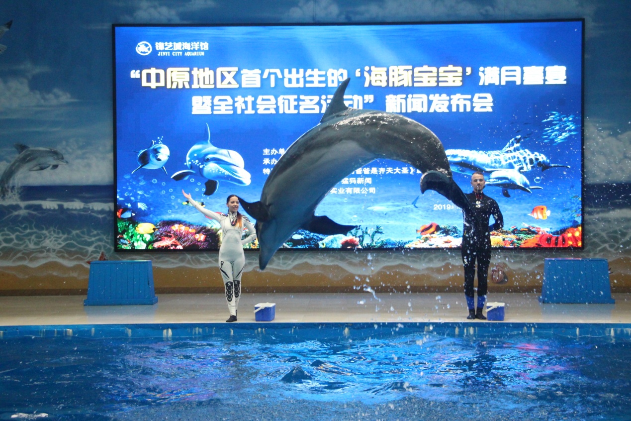 中原地区出生的头胎小海豚满月了，全城送祝福温暖“满月喜宴”