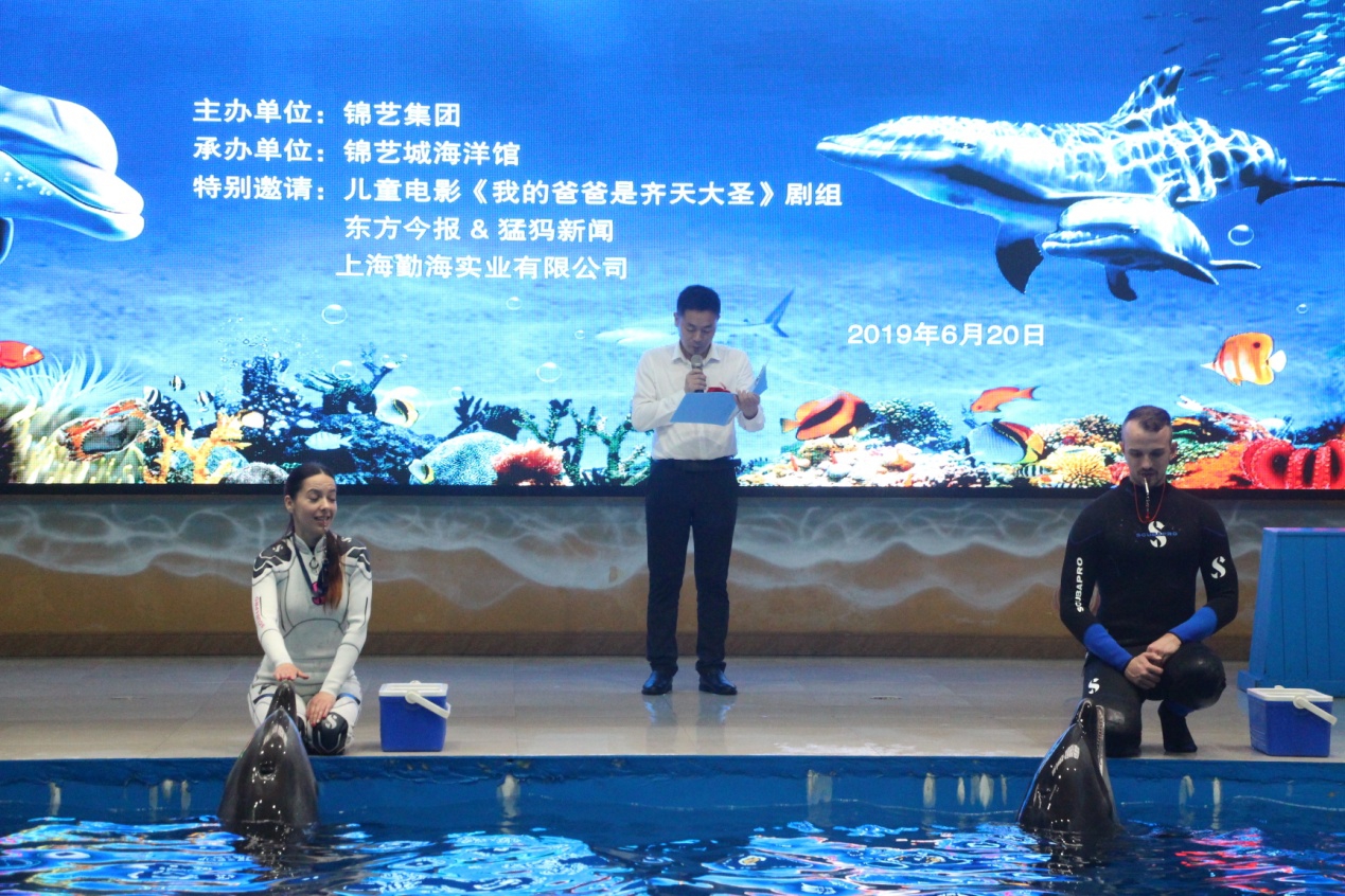 中原地区出生的头胎小海豚满月了，全城送祝福温暖“满月喜宴”