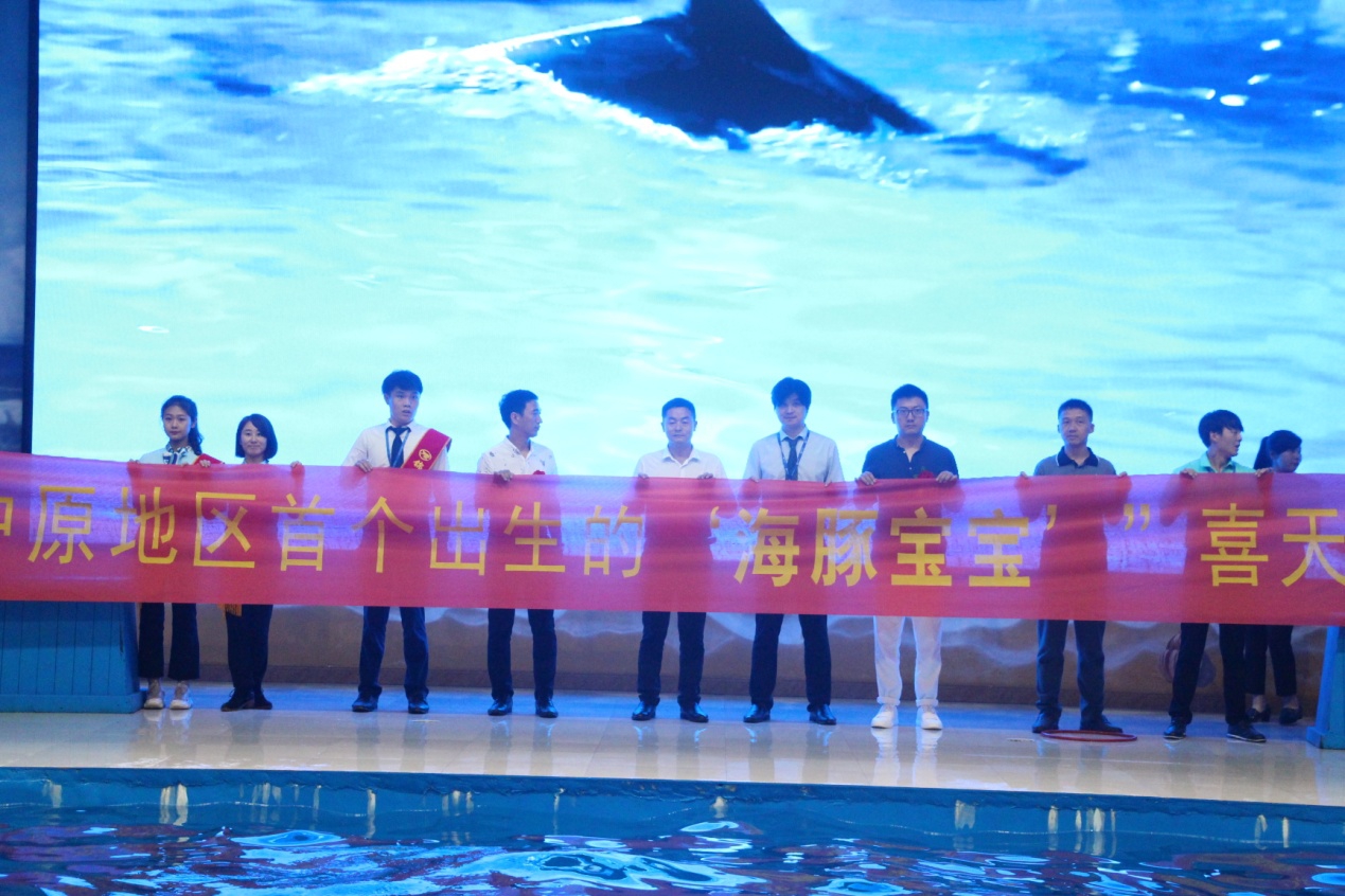 中原地区出生的头胎小海豚满月了，全城送祝福温暖“满月喜宴”
